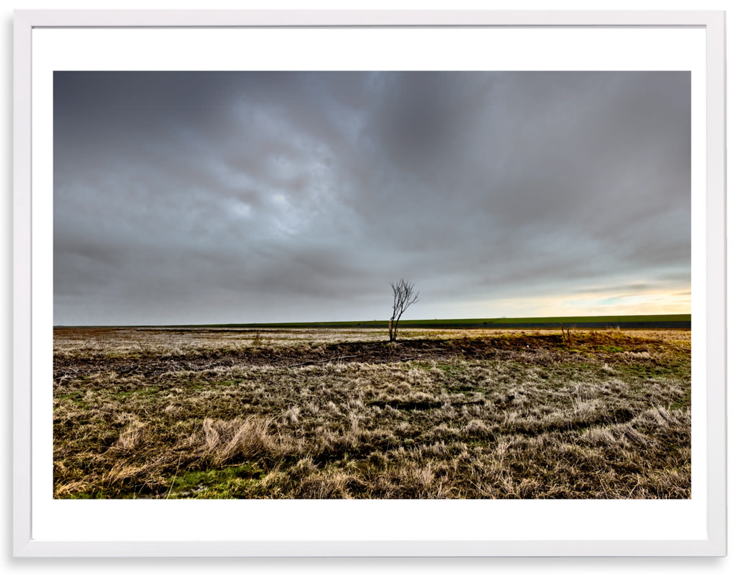 Noordpolderzijl, eenzame boom